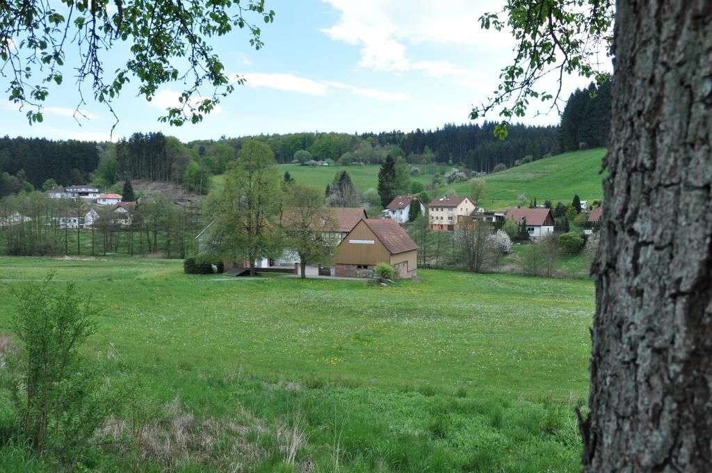 Ferienwohnungen Zur Muehle Mossautal Luaran gambar